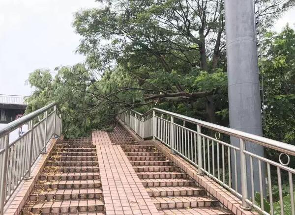 “天鴿”登陸了又怎樣，智彤印刷正常發(fā)放福利！